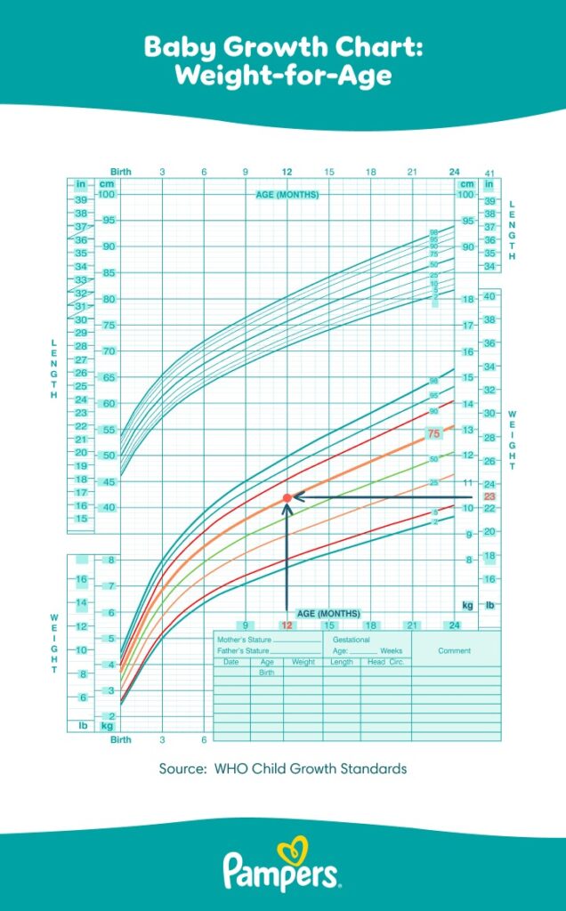 Baby growth chart showing weight for age tracking